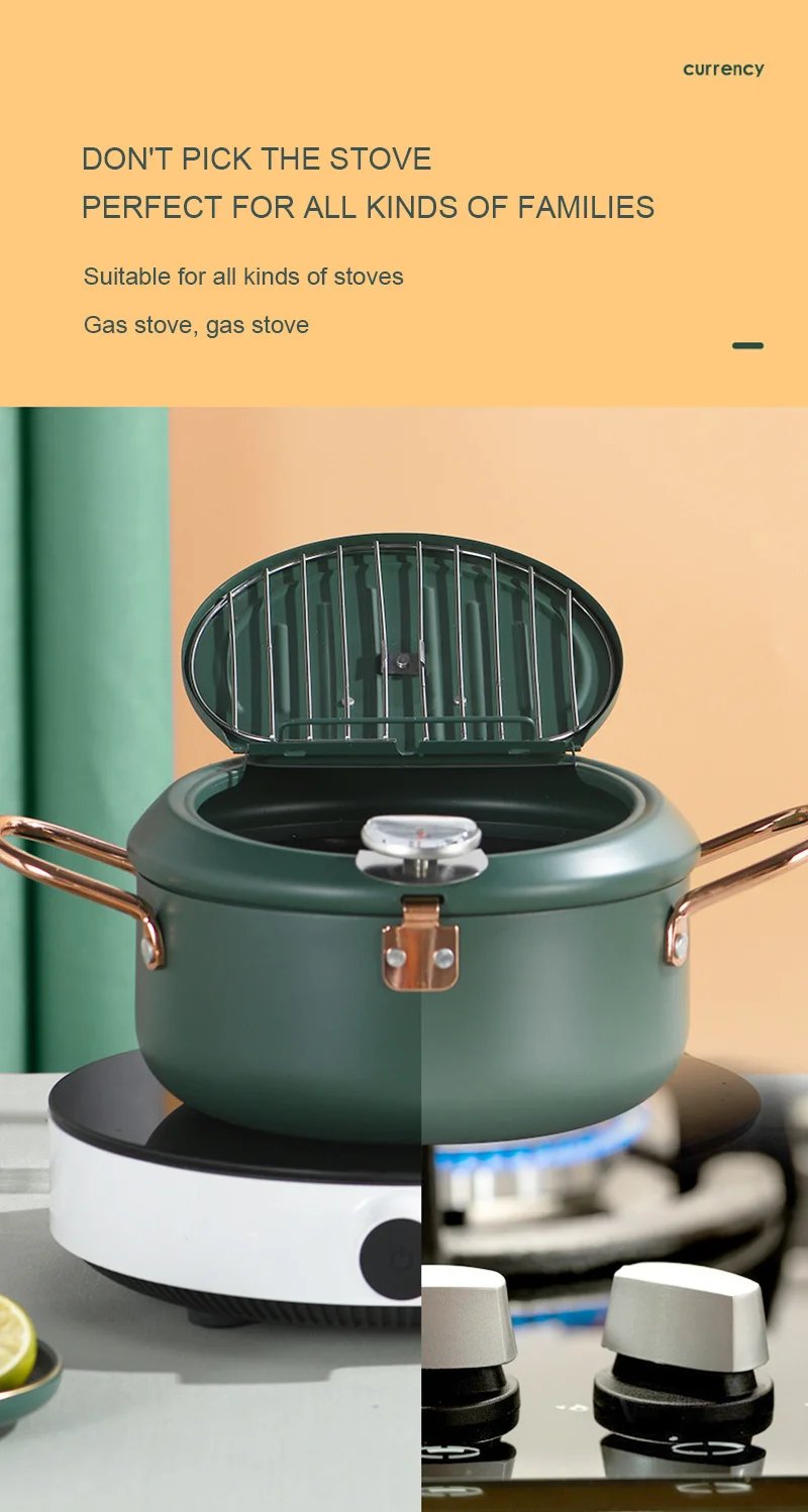 Kitchen Deep Frying Pot Thermometre Tempura Fryer Pan Temperature Control Fried Chicken Pot Cooking Tools Green Stainless Steel
