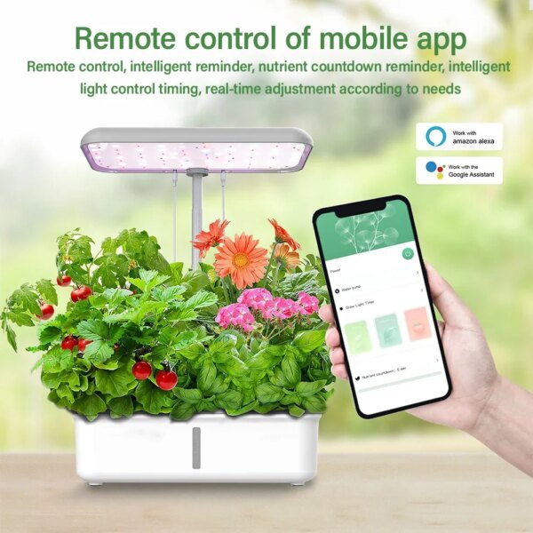 Tuya WiFi Plant Hydroponics System Growing LED Light Soilless Smart Planting Machine Self Watering Indoor Home Gardening Planter - Image 2