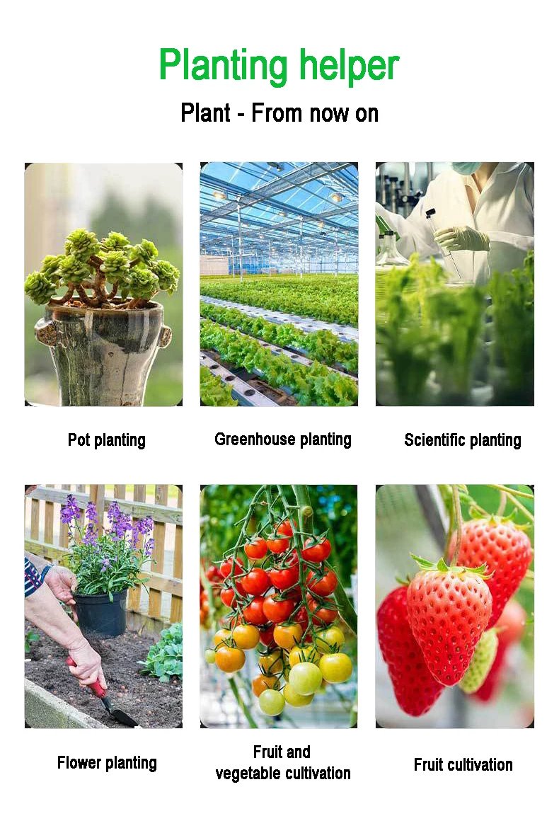Soil Detector For Gardening And Planting Soil Fertility Moisture Temperature PH Value Illumination 6 in 1 Measures Soil Detector