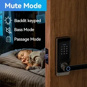 Smart Door Lock, TMEZON Keyless Entry Door Lock Fingerprint Door Lock with Keypad Digital Door Lock with Handle for Home, Rental