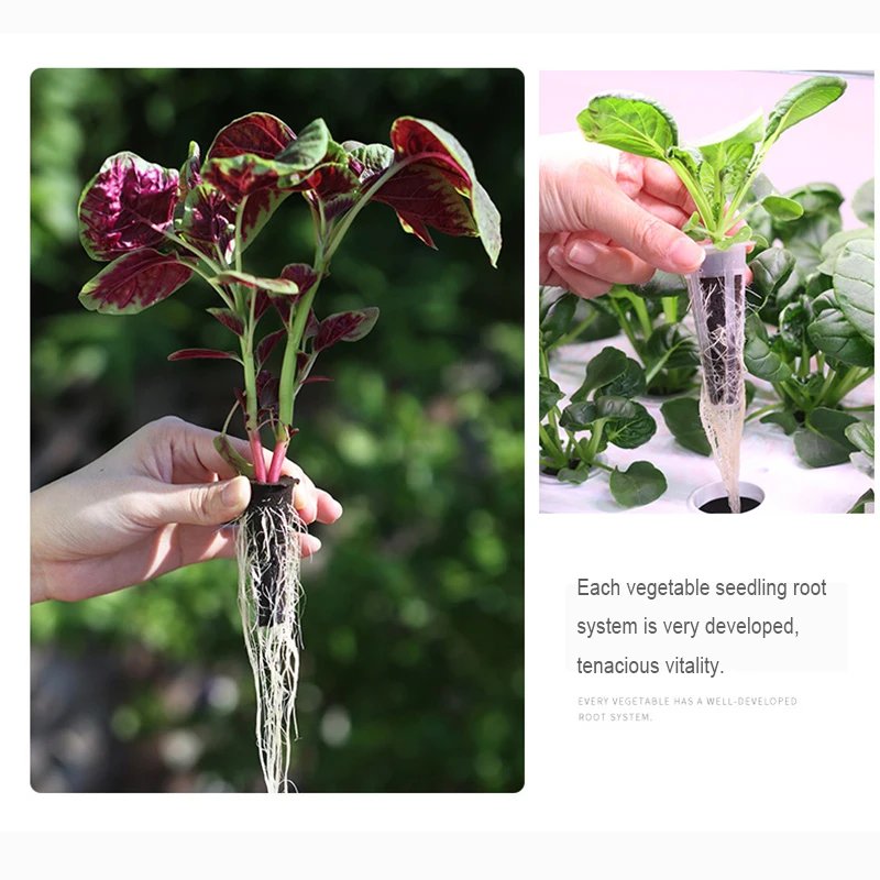 Fruit and Vegetable Seedling Pot Set 20 Hole Seedling Box+Intelligent Fill Light Seedling Tray New Gardening Planting Supplies