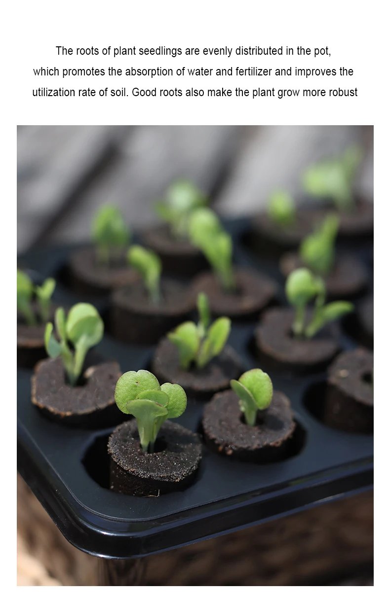 Fruit and Vegetable Seedling Pot Set 20 Hole Seedling Box+Intelligent Fill Light Seedling Tray New Gardening Planting Supplies