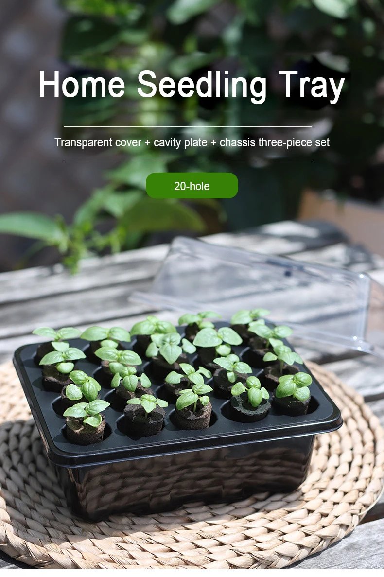 Fruit and Vegetable Seedling Pot Set 20 Hole Seedling Box+Intelligent Fill Light Seedling Tray New Gardening Planting Supplies