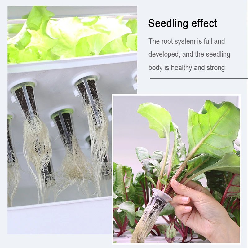 Fruit and Vegetable Seedling Pot Set 20 Hole Seedling Box+Intelligent Fill Light Seedling Tray New Gardening Planting Supplies