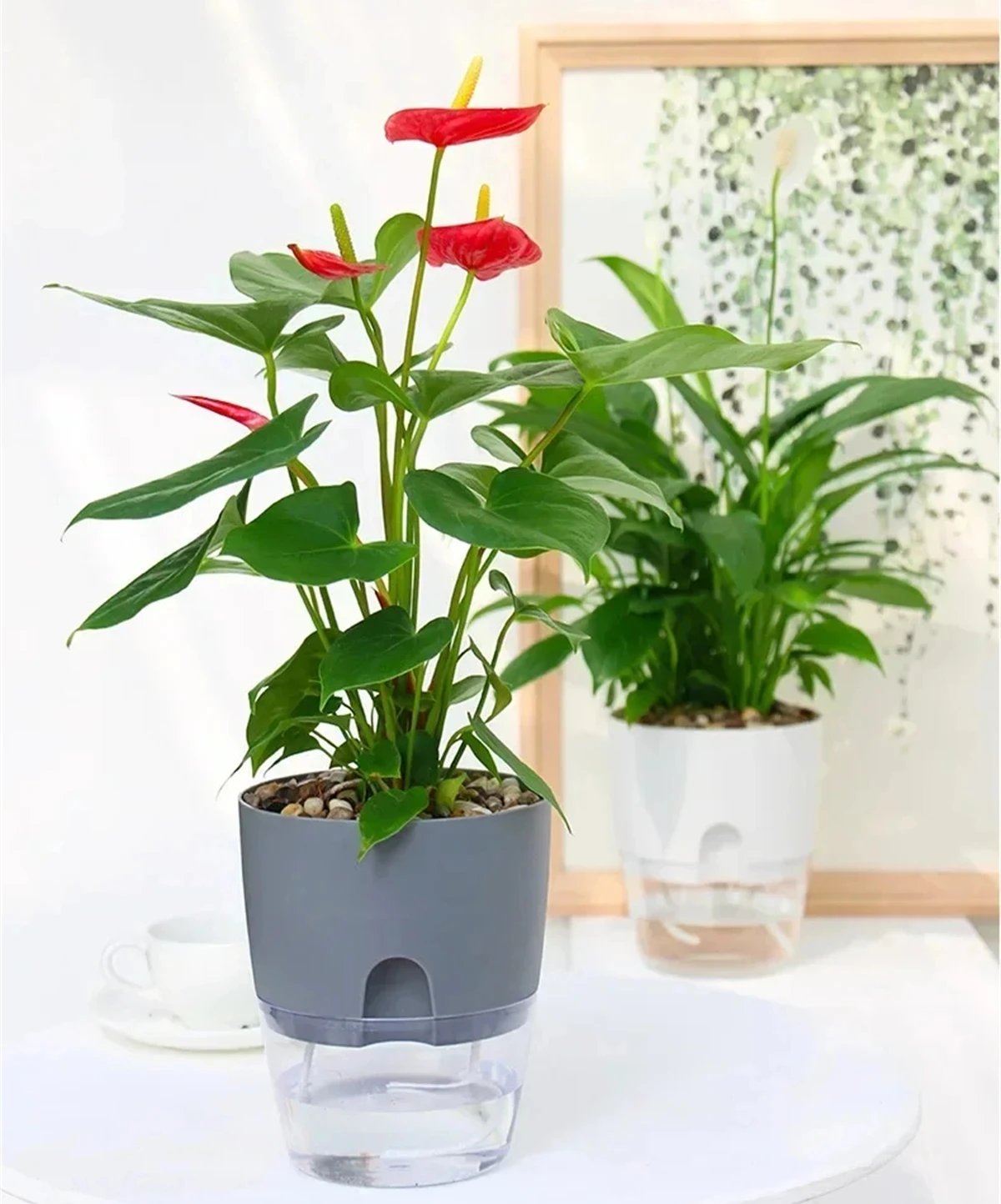 2 Layer Soilless Cultivation Flower Pot Cotton Rope Self Watering Hydroponic Plant Basin Automatic Irrigation Lazy Flowerpot 1Pc