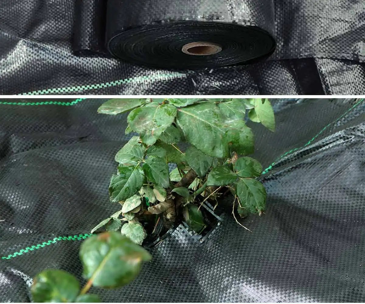Agricultural Anti Grass Cloth PP Garden Weed Barrier Fabric Permeable Anti-Weed Ground Covers Geotextile Greenhouse Weeding Mat