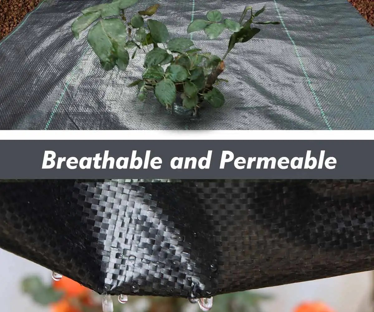 Agricultural Anti Grass Cloth PP Garden Weed Barrier Fabric Permeable Anti-Weed Ground Covers Geotextile Greenhouse Weeding Mat