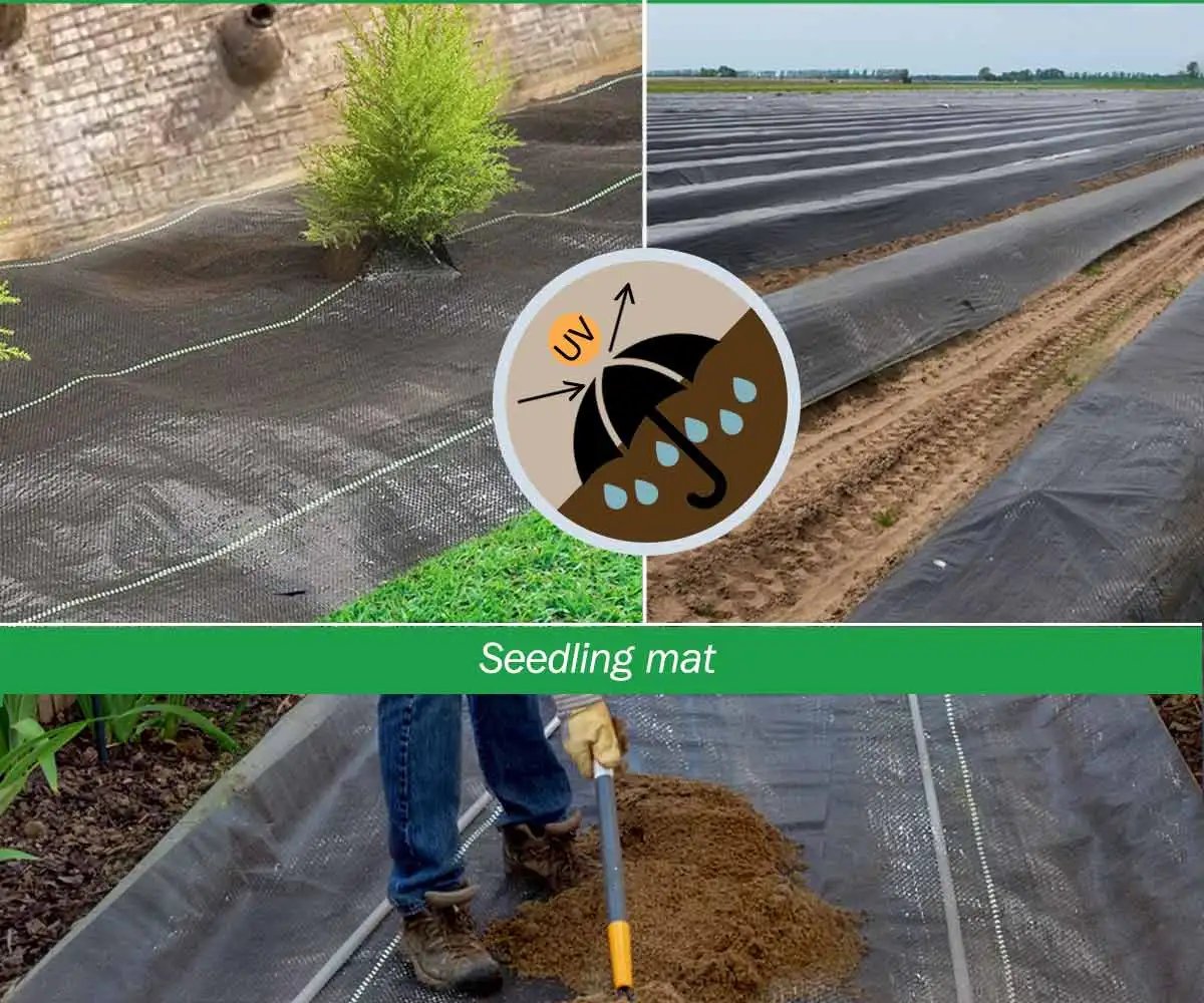 Agricultural Anti Grass Cloth PP Garden Weed Barrier Fabric Permeable Anti-Weed Ground Covers Geotextile Greenhouse Weeding Mat