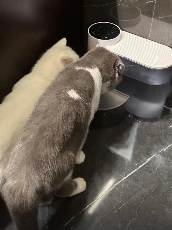 Pet water dispenser, dog and cat water dispenser, dumping cat water dispenser, running water charging automatic water feeder - Image 6