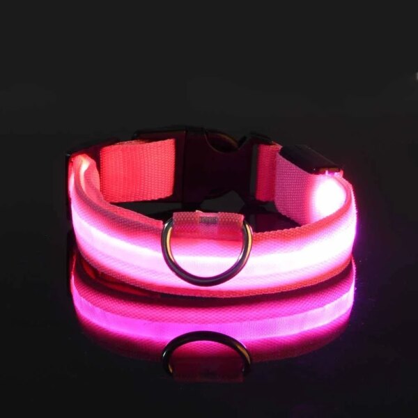 Dog Collar Nylon LED Night Safety Flashing Glow In The Dark Pet Dog Leash pet Dogs Luminous Fluorescent  dog accessories collar - Image 5