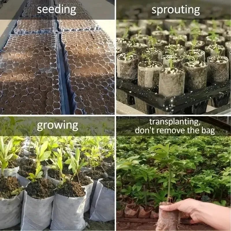8x10cm 100pcs Biodegradable Seed Nursery Bags, Non-Woven Plants GrowBags, Fabric Seedling Pots Plants Pouch, Home Garden Supply 8x10cm 100pcs Biodegradable Seed Nursery Bags, Non-Woven Plants GrowBags, Fabric Seedling Pots Plants Pouch, Home Garden Supply