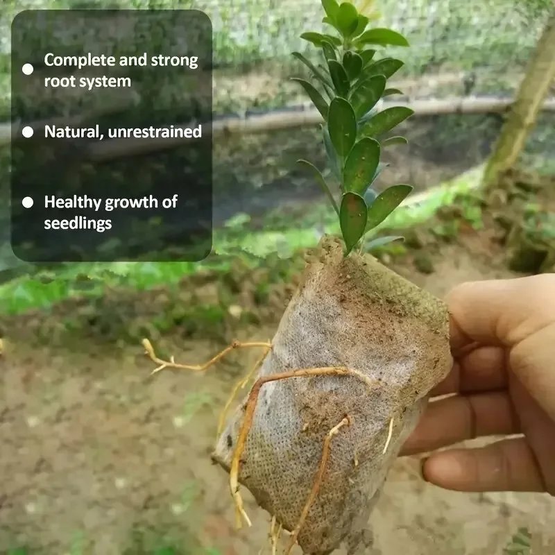 8x10cm 100pcs Biodegradable Seed Nursery Bags, Non-Woven Plants GrowBags, Fabric Seedling Pots Plants Pouch, Home Garden Supply 8x10cm 100pcs Biodegradable Seed Nursery Bags, Non-Woven Plants GrowBags, Fabric Seedling Pots Plants Pouch, Home Garden Supply